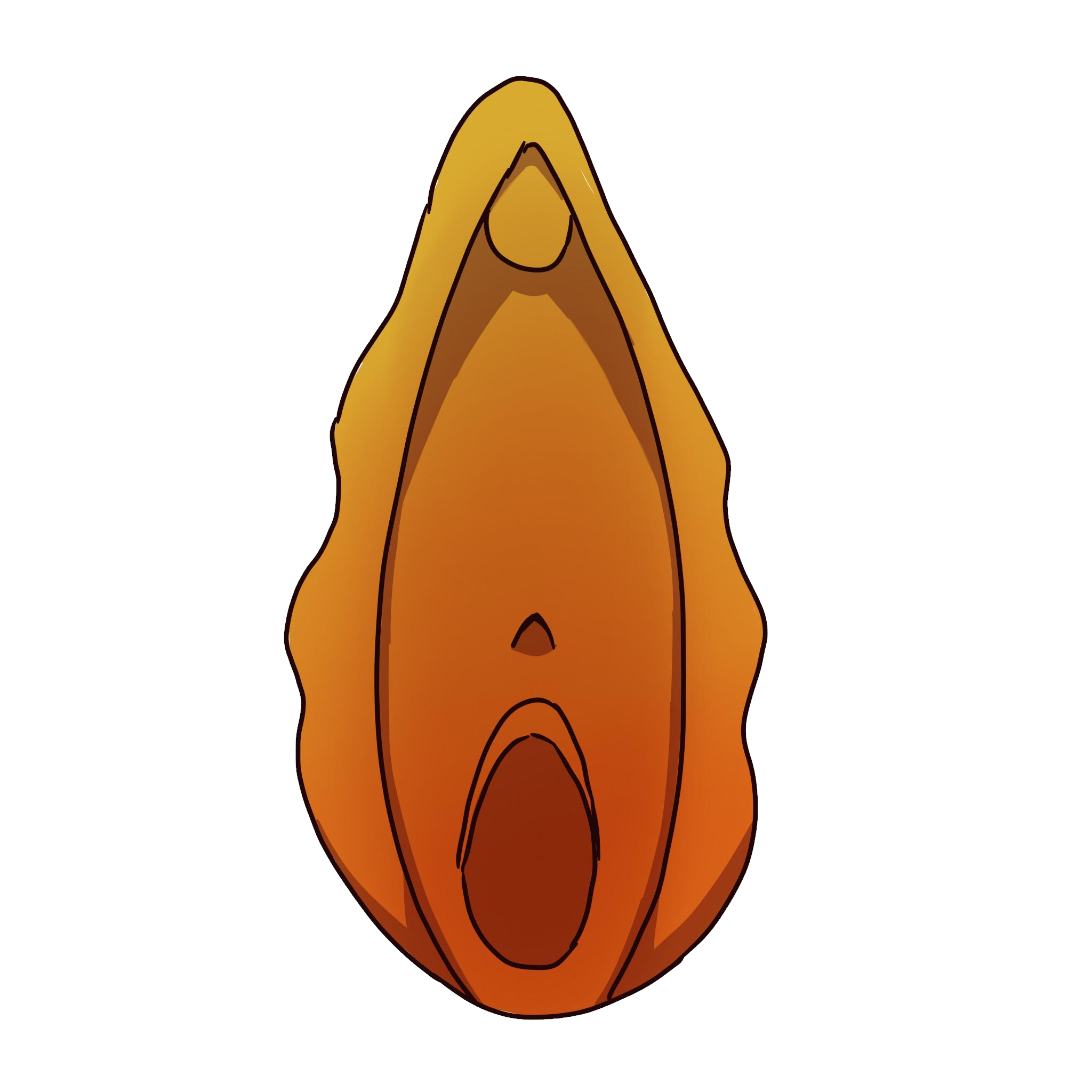 an image of a yellow and orange vulva